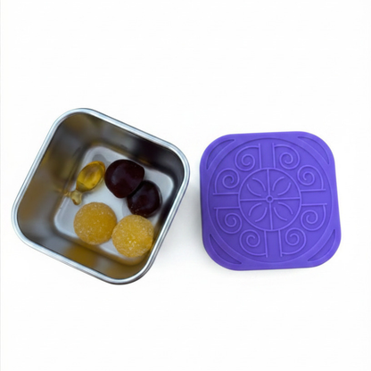 Snack Container - Stainless Steel and Leakproof