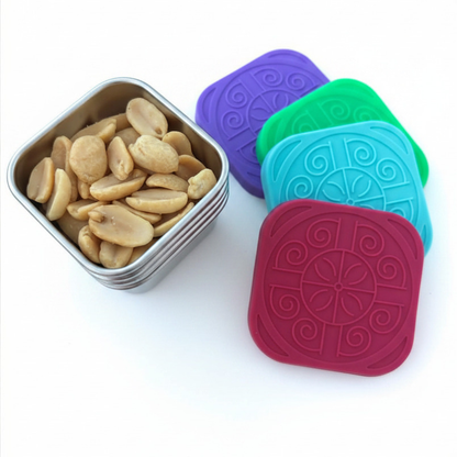 Snack Container - Stainless Steel and Leakproof