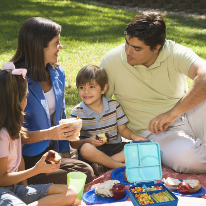 Bento Lunch Box - Leakproof and Easy-clean